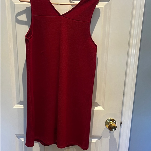 Chic Lace-Up Mini Dress in Red - Picture 3 of 4